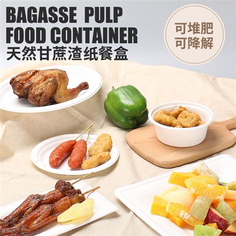 Degradable bagasse container